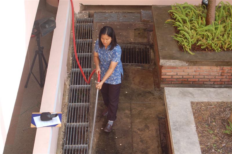 ../Picture/2552/DSC_0048 (Medium).JPG